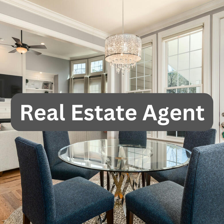 Real Estate Agent